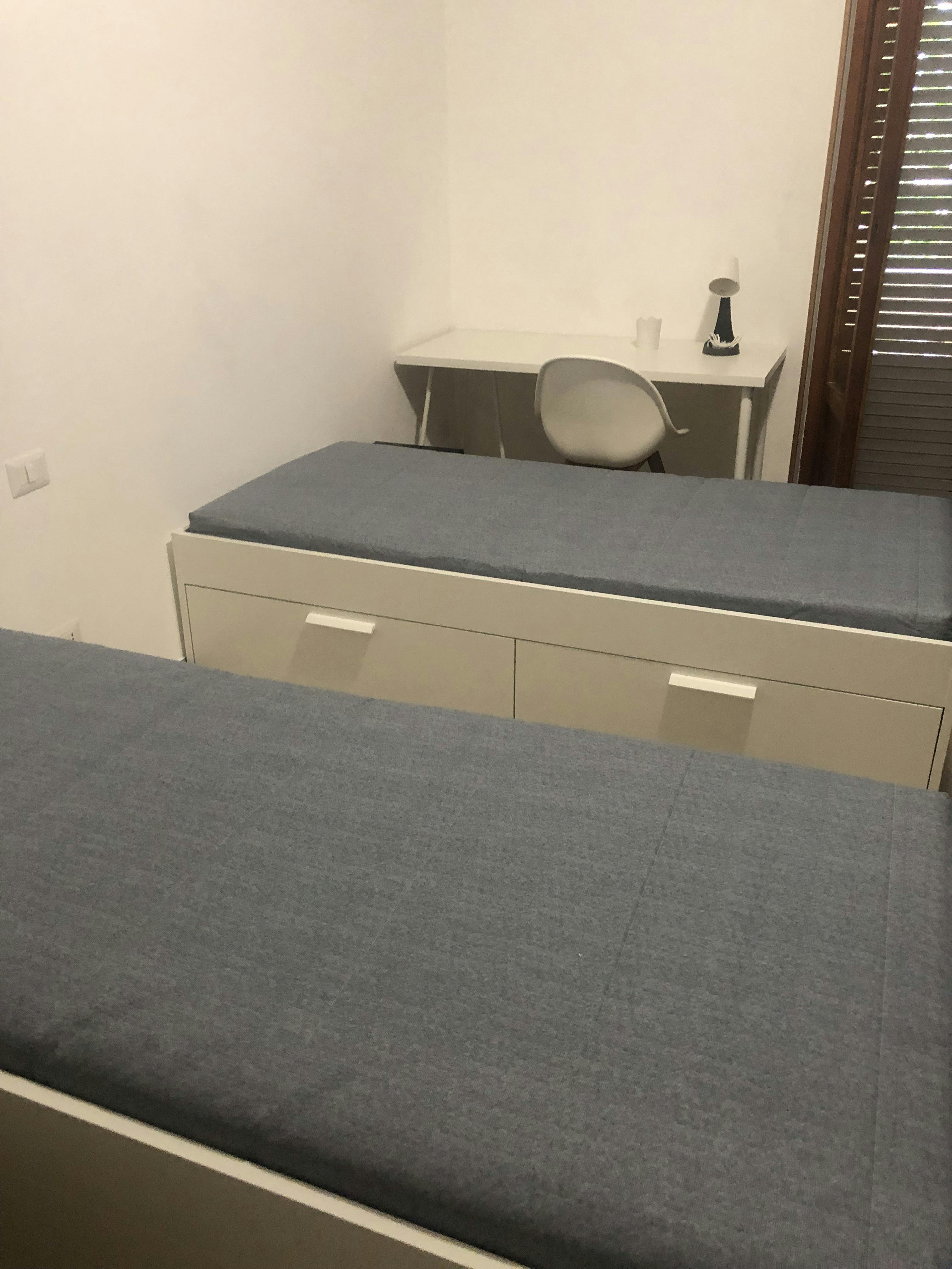 Shared room for rent for €300 per month in Rome, Piazza Erasmo Piaggio