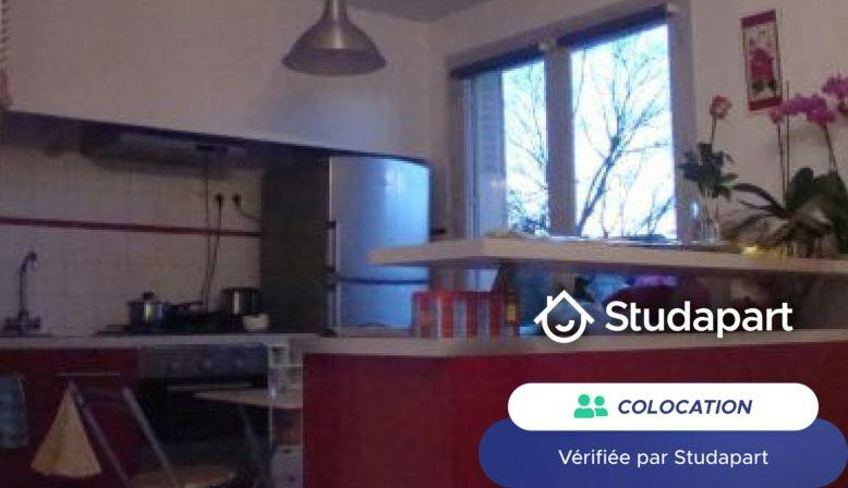 Private room for rent on Rue du Jardin Public, Bordeaux - Vue 4