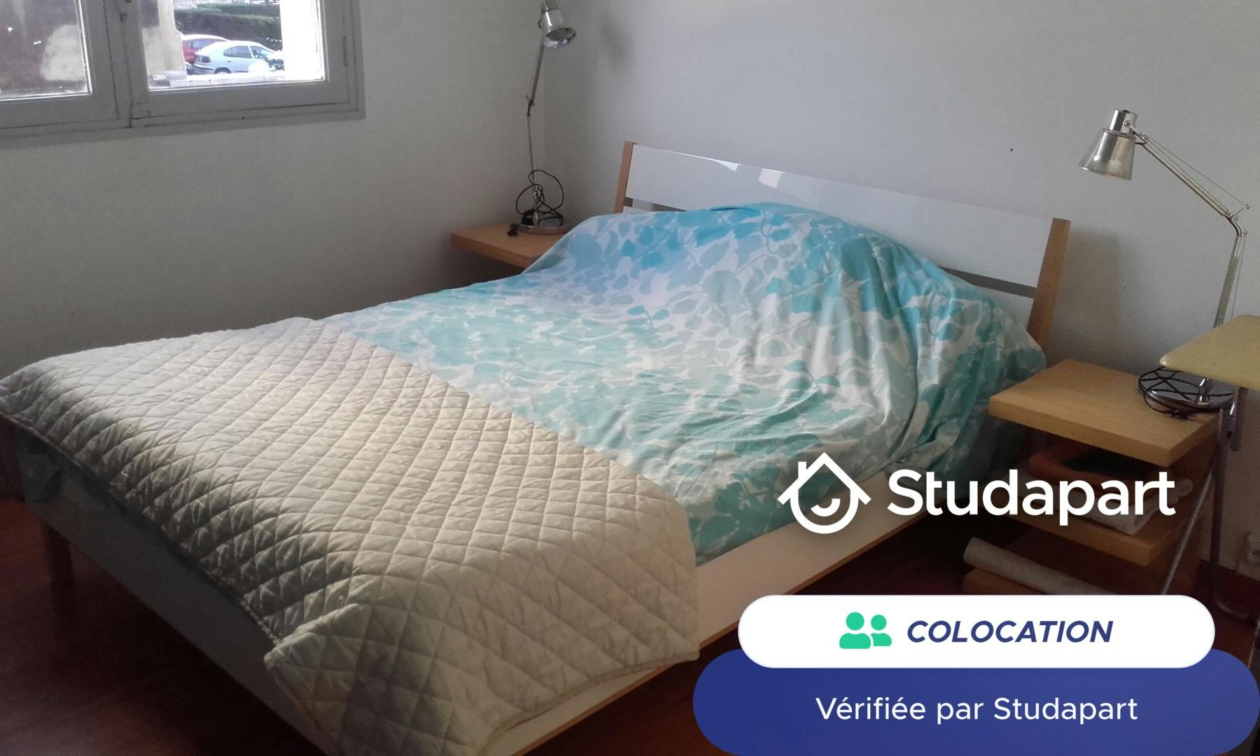 Private room for rent on Rue du Jardin Public, Bordeaux - Vue 5