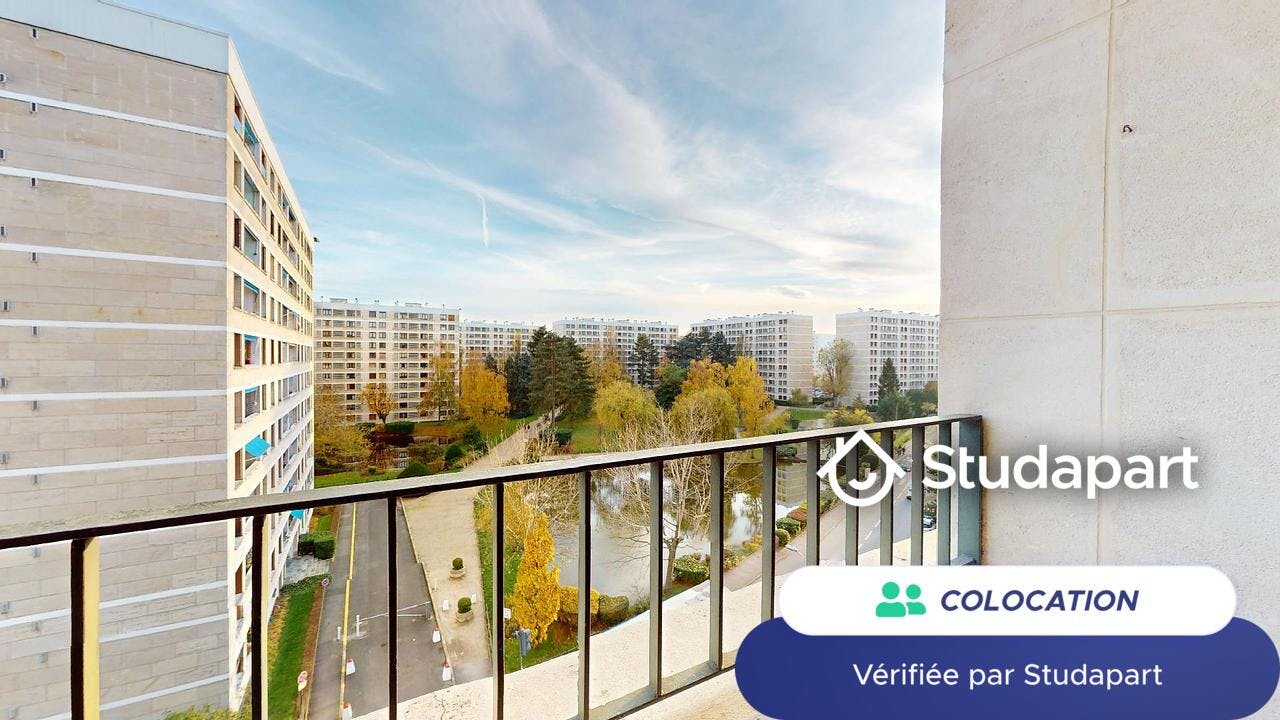 Private room for rent on Avenue du Maréchal de Lattre de Tassigny, Meudon – pohled 3