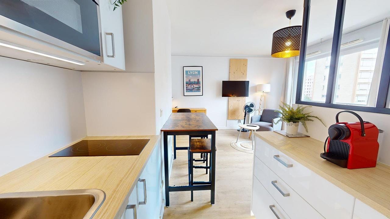Apartment Villeurbanne, 30m² — photo 7