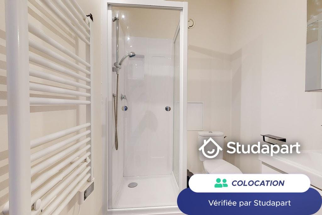 Private room for rent on Rue Solférino, Lille – pohled 6