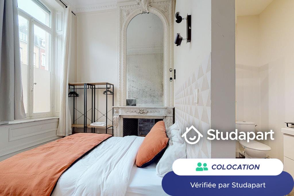 Private room for rent on Rue Solférino, Lille – pohled 3