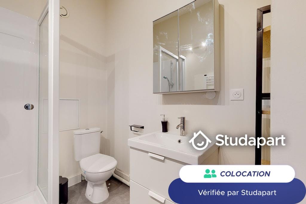 Private room for rent on Rue Solférino, Lille – pohled 5