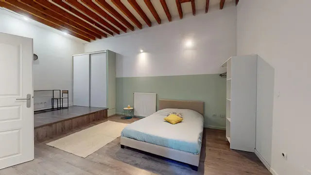 Private room in Rue Baraban, Lyon (1534792) room image 1
