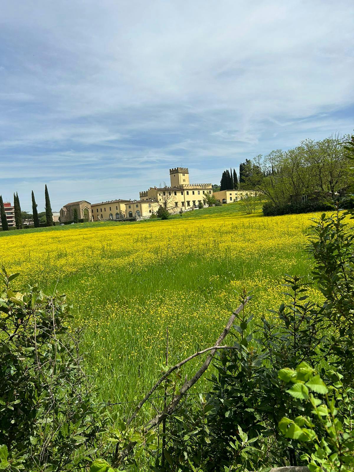 Via di Torregalli, Florence preview
