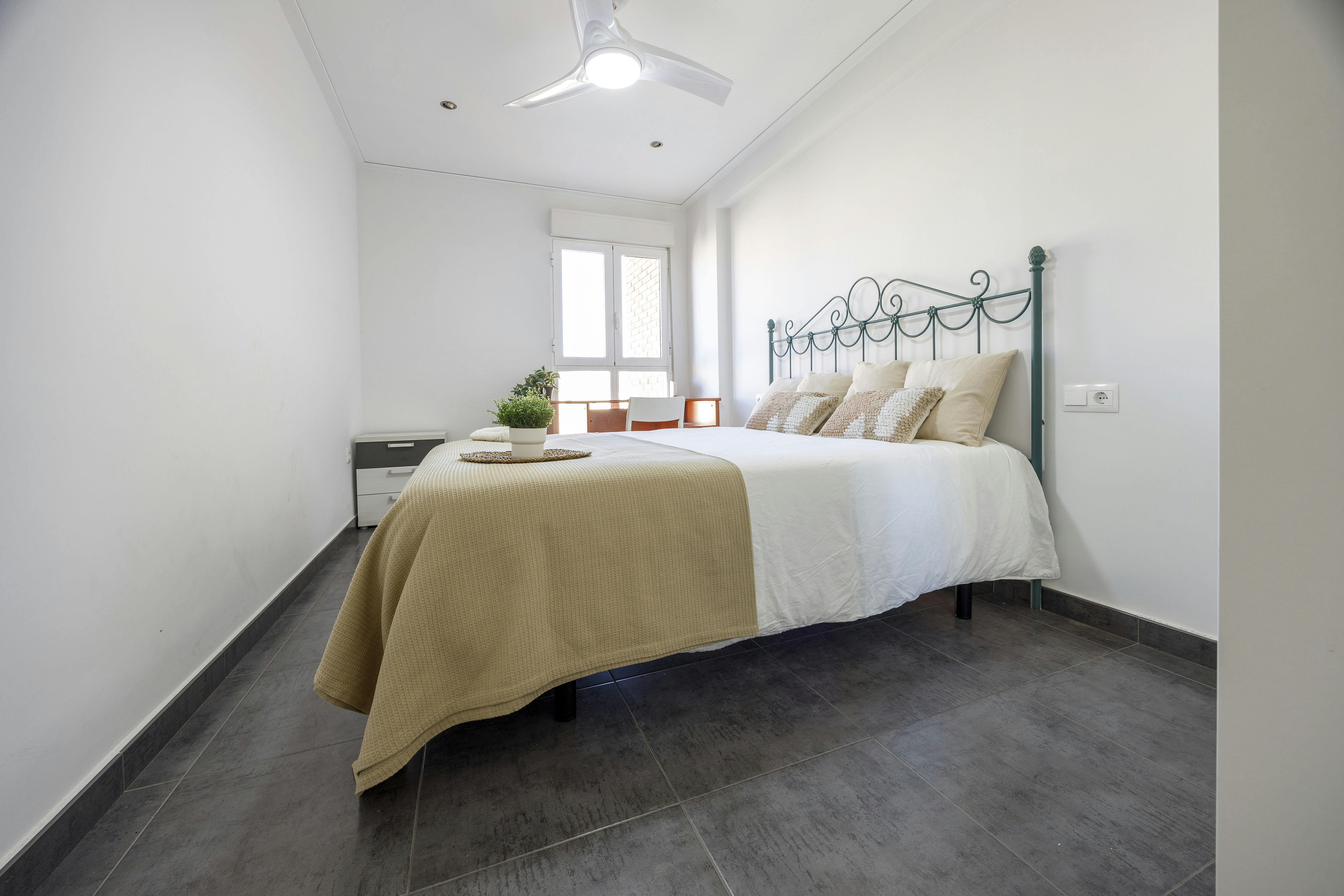 Avinguda de la Constitució, Valencia Valencia