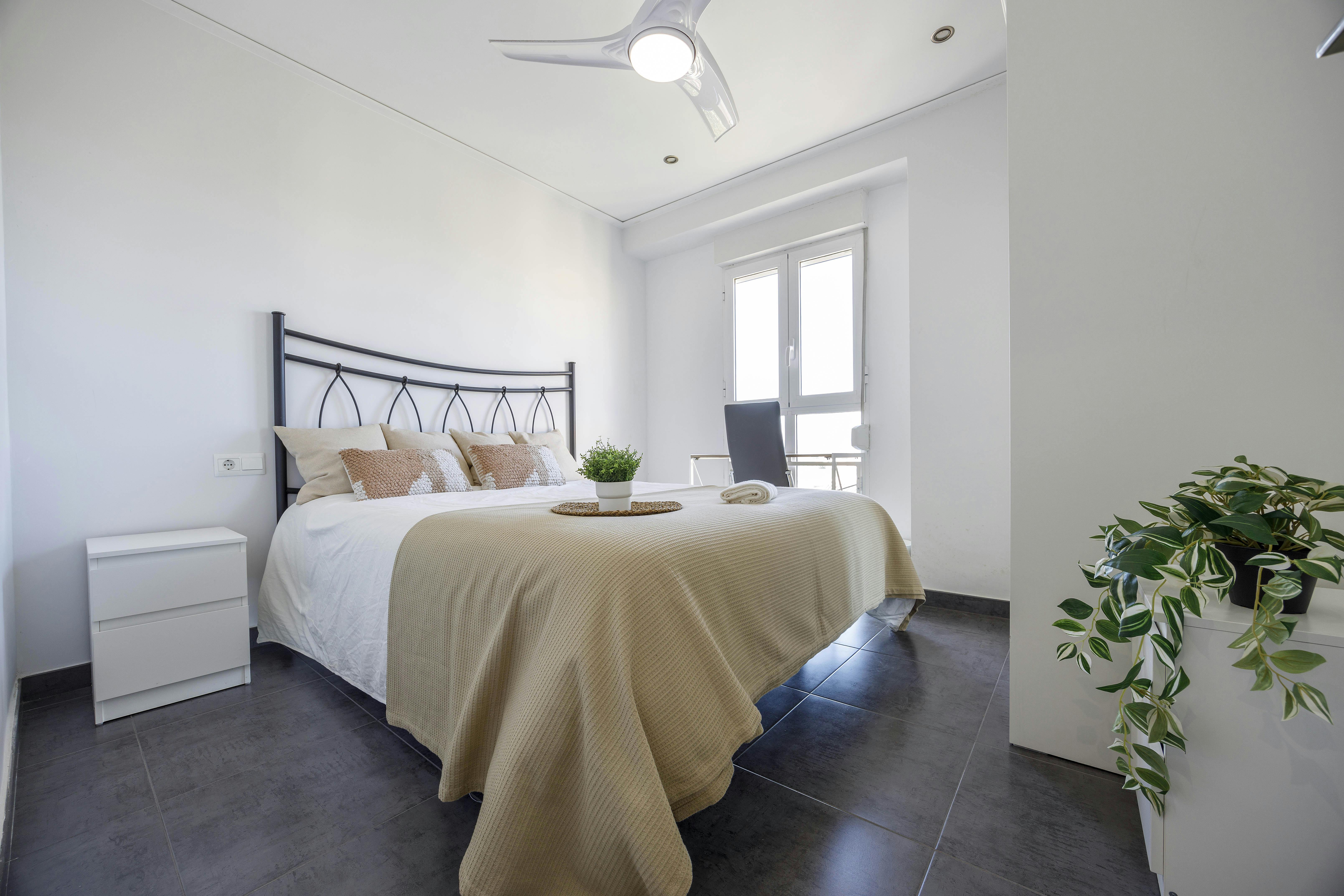 Avinguda de la Constitució, Valencia Valencia