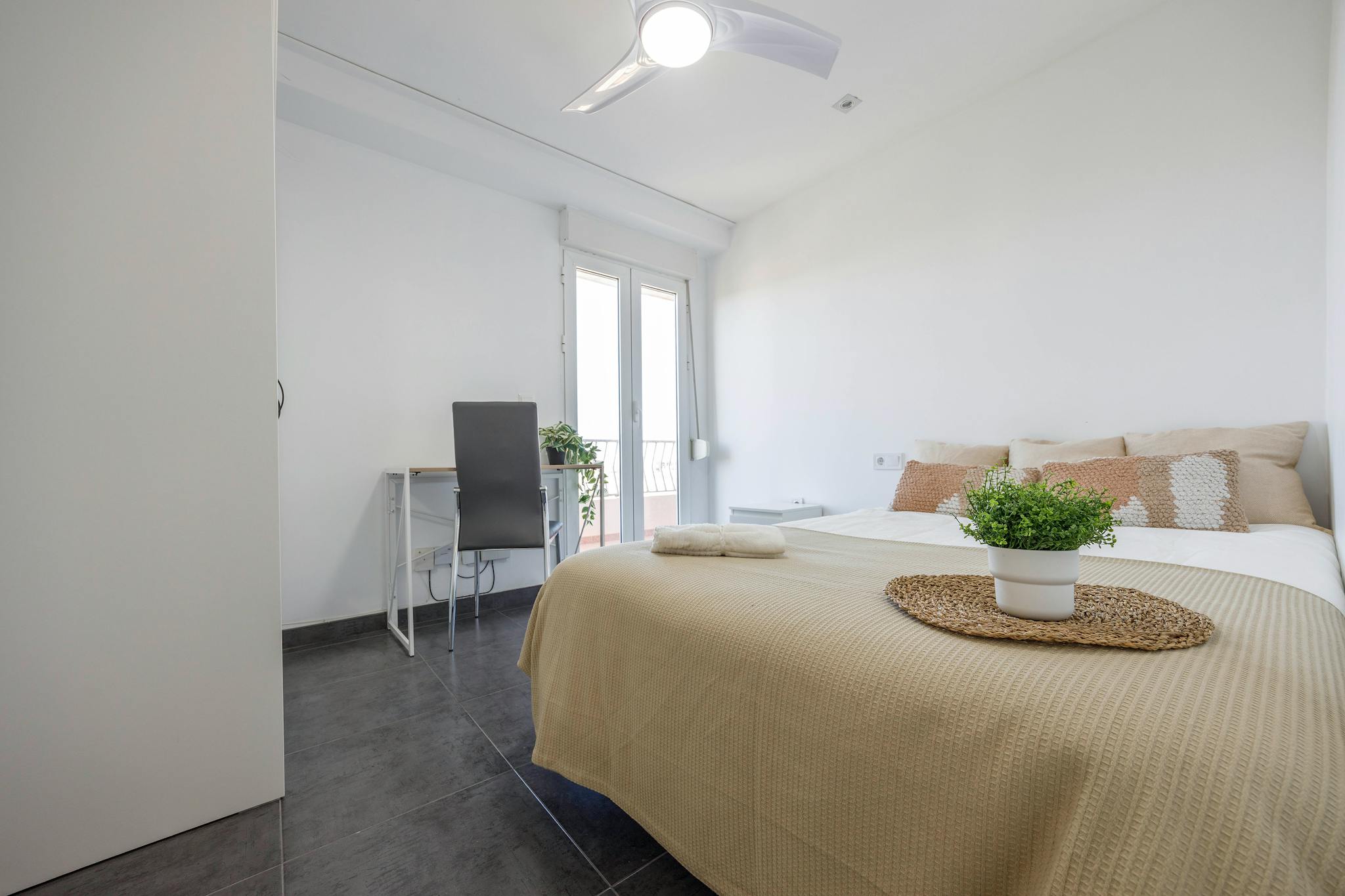 Avinguda de la Constitució, Valencia preview