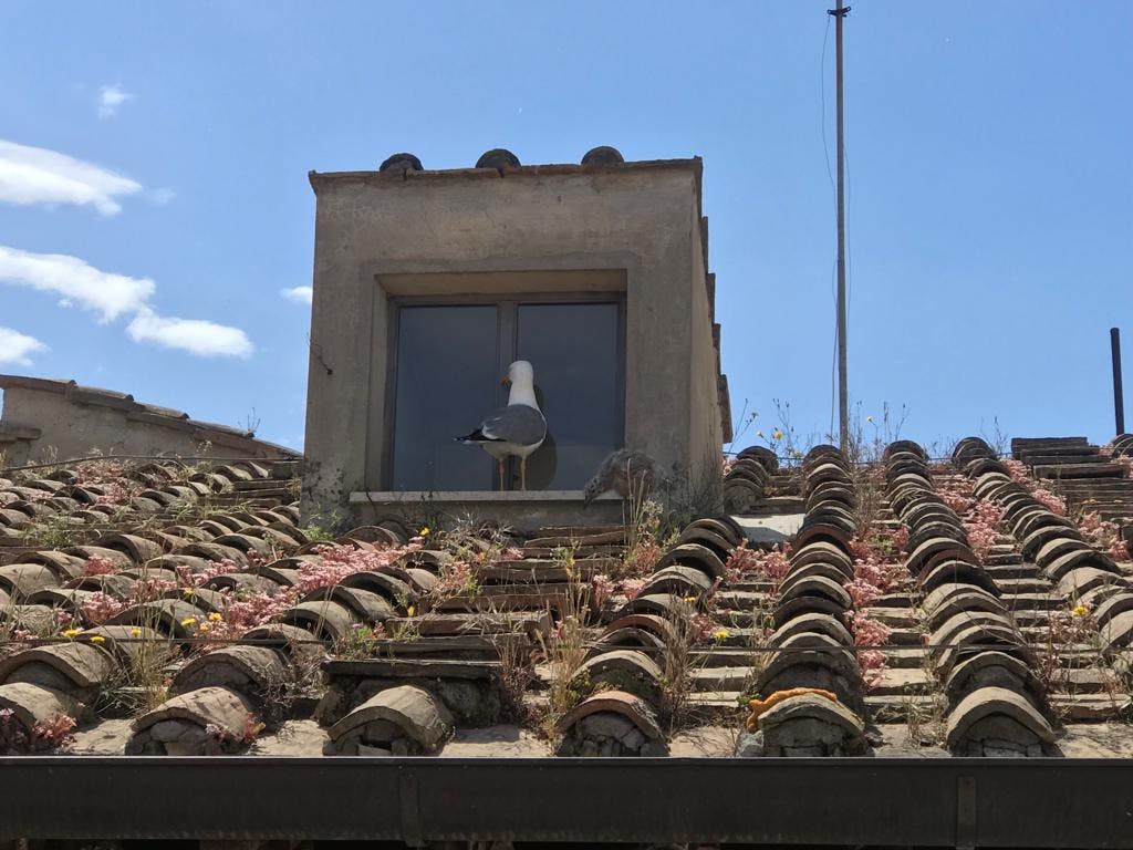 Apartment Rome, 30m² — photo 3