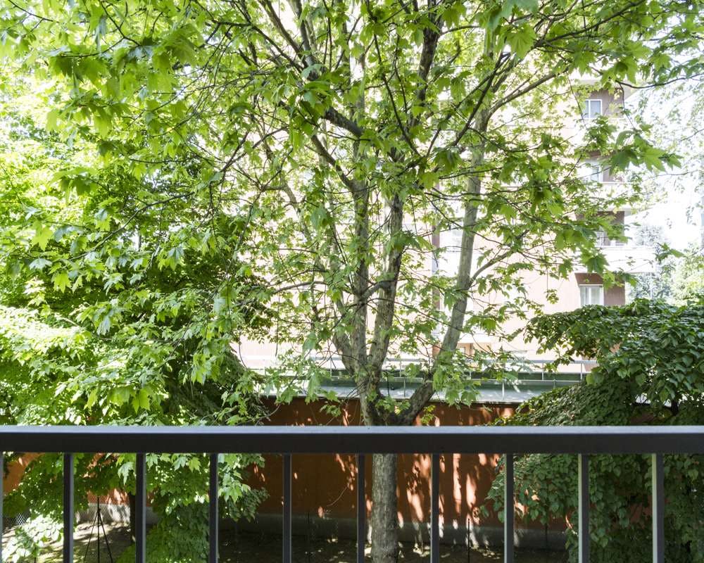 Via Bartolomeo d'Alviano, Milan