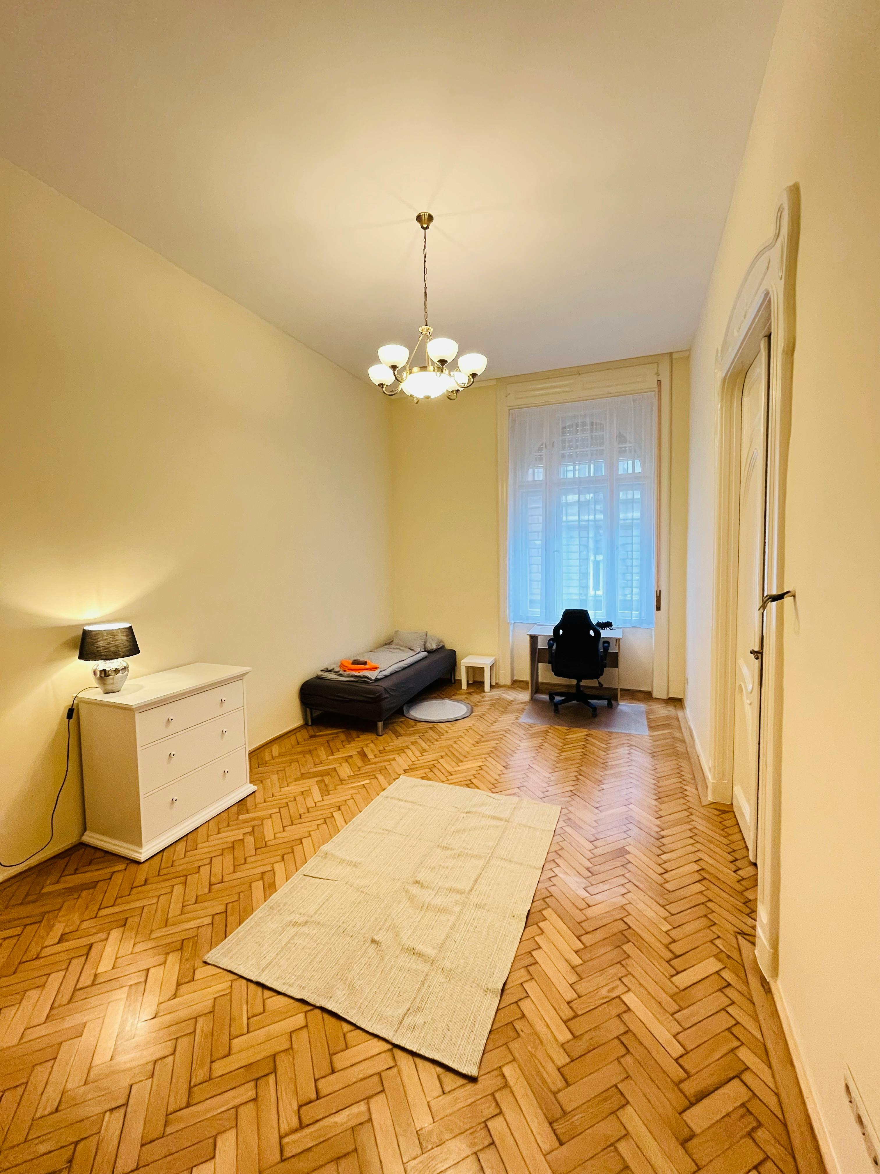 Apartment Budapest, 110m² — photo 42
