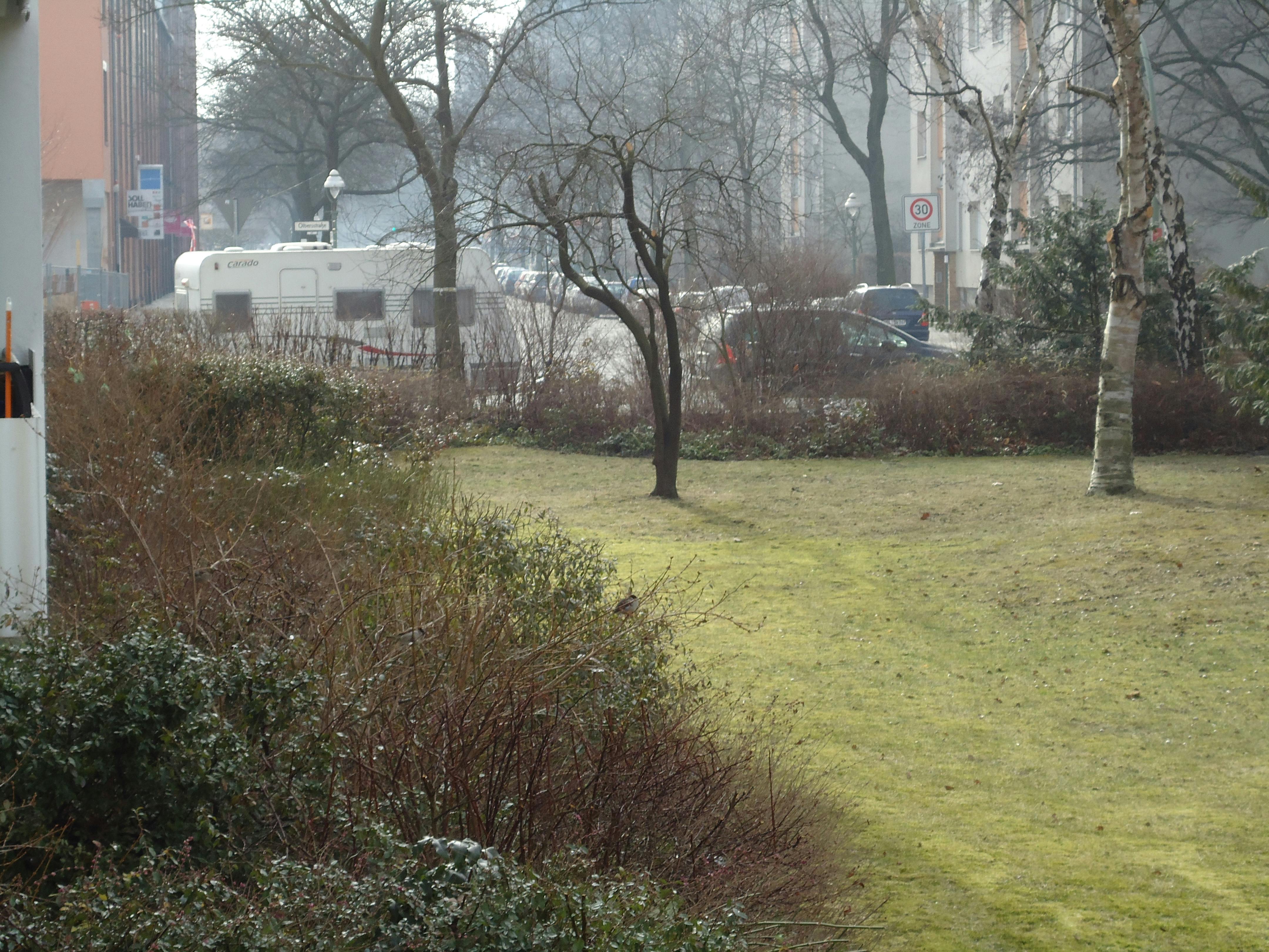 Apartment Berlin, 40m² — photo 7