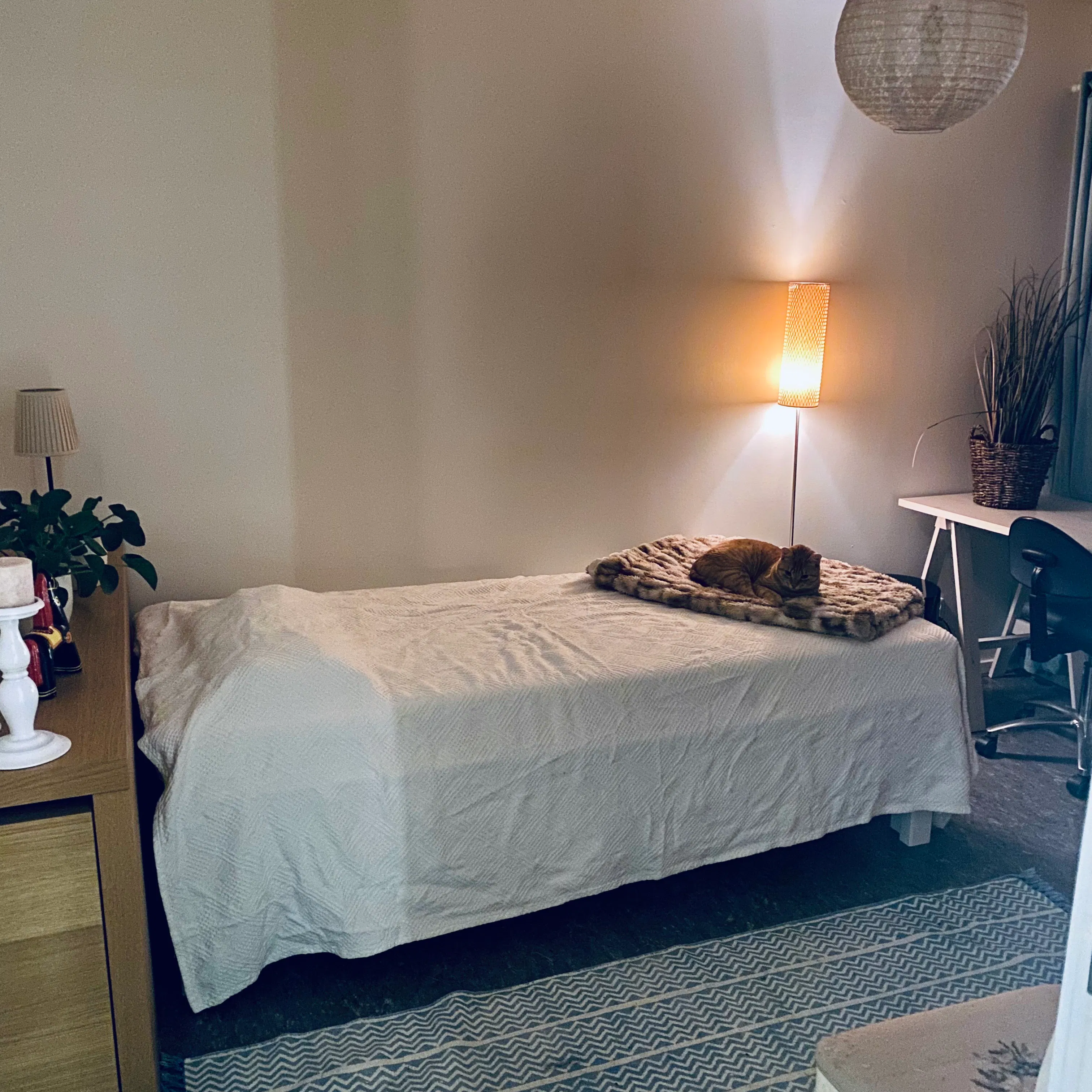 Private room for rent for SEK 5,000 per month in Lund, Östen Undéns gata