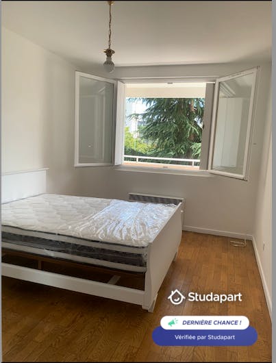 Apartment for rent on Avenue de Ménival, Lyon - Widok 4