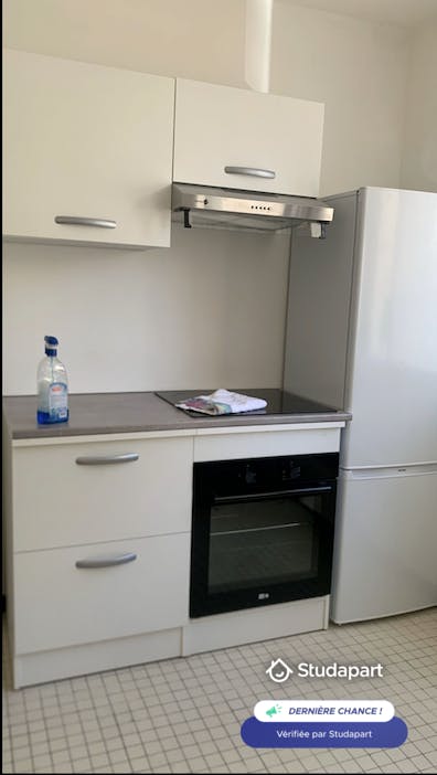 Apartment for rent on Avenue de Ménival, Lyon - Widok 3
