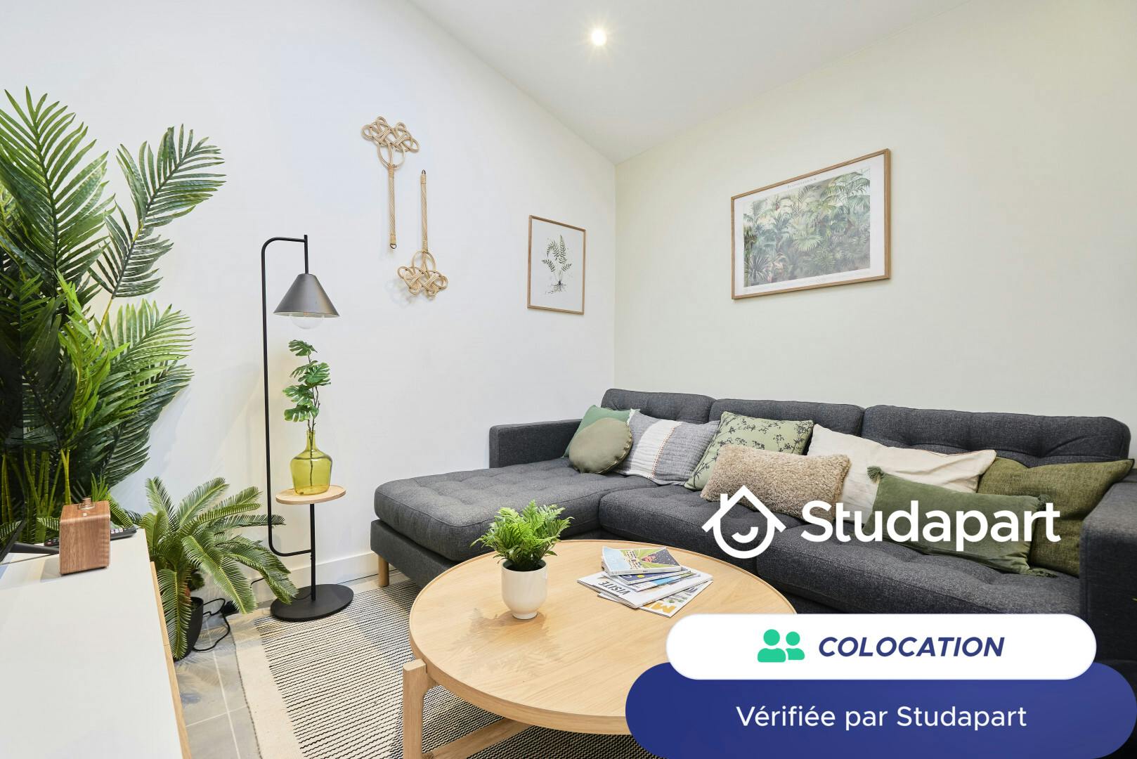 Private room for rent for €470 per month in Lille, Rue de Pologne