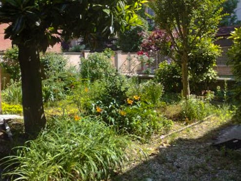 Single room Turin, 1 bed, 15m² — photo 6