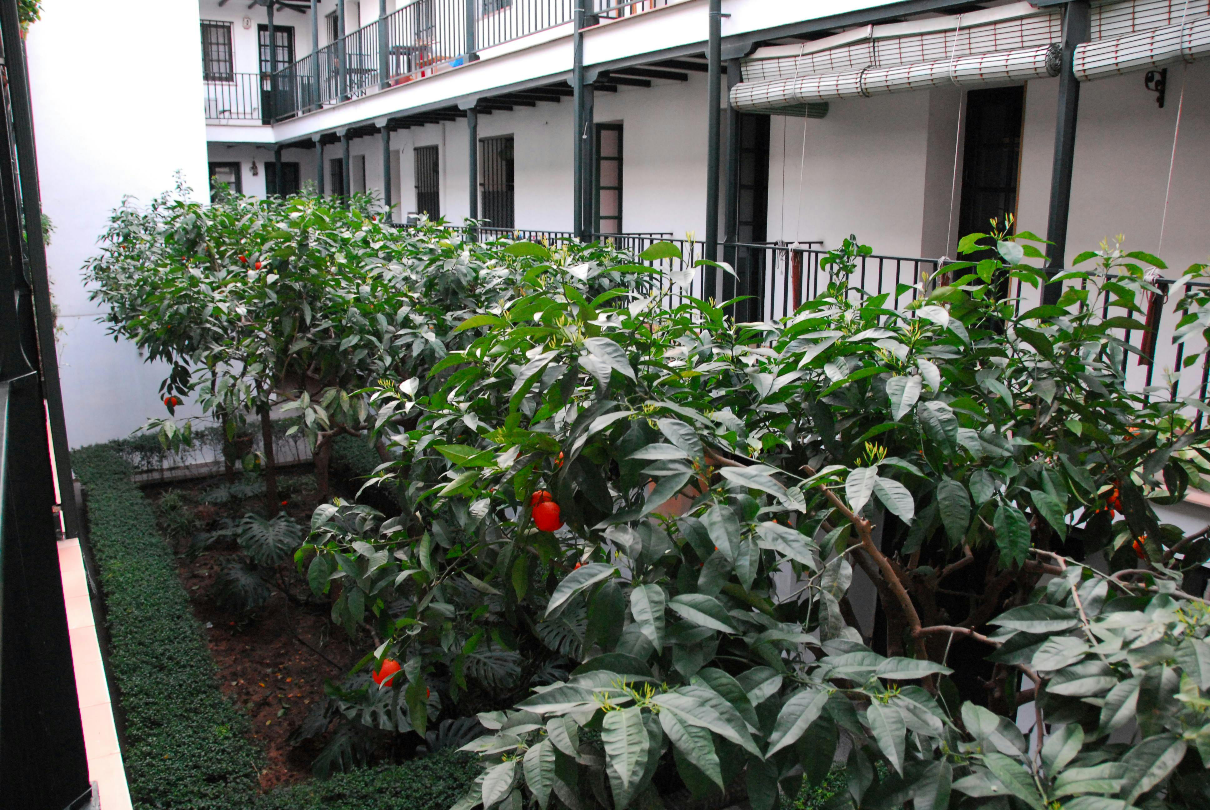 Calle Alfalfa, Sevilla Sevilla
