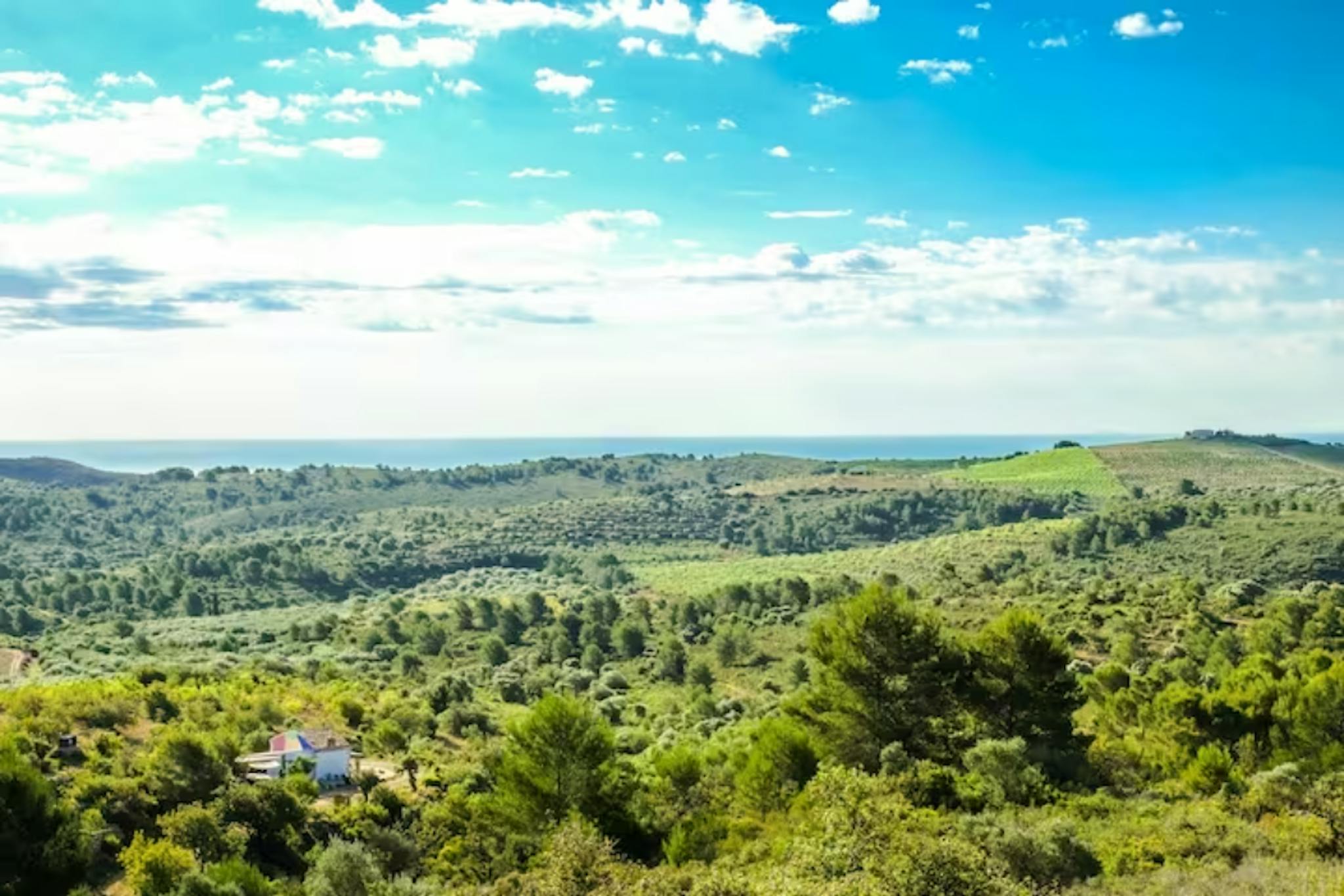 CV-13, Torreblanca preview