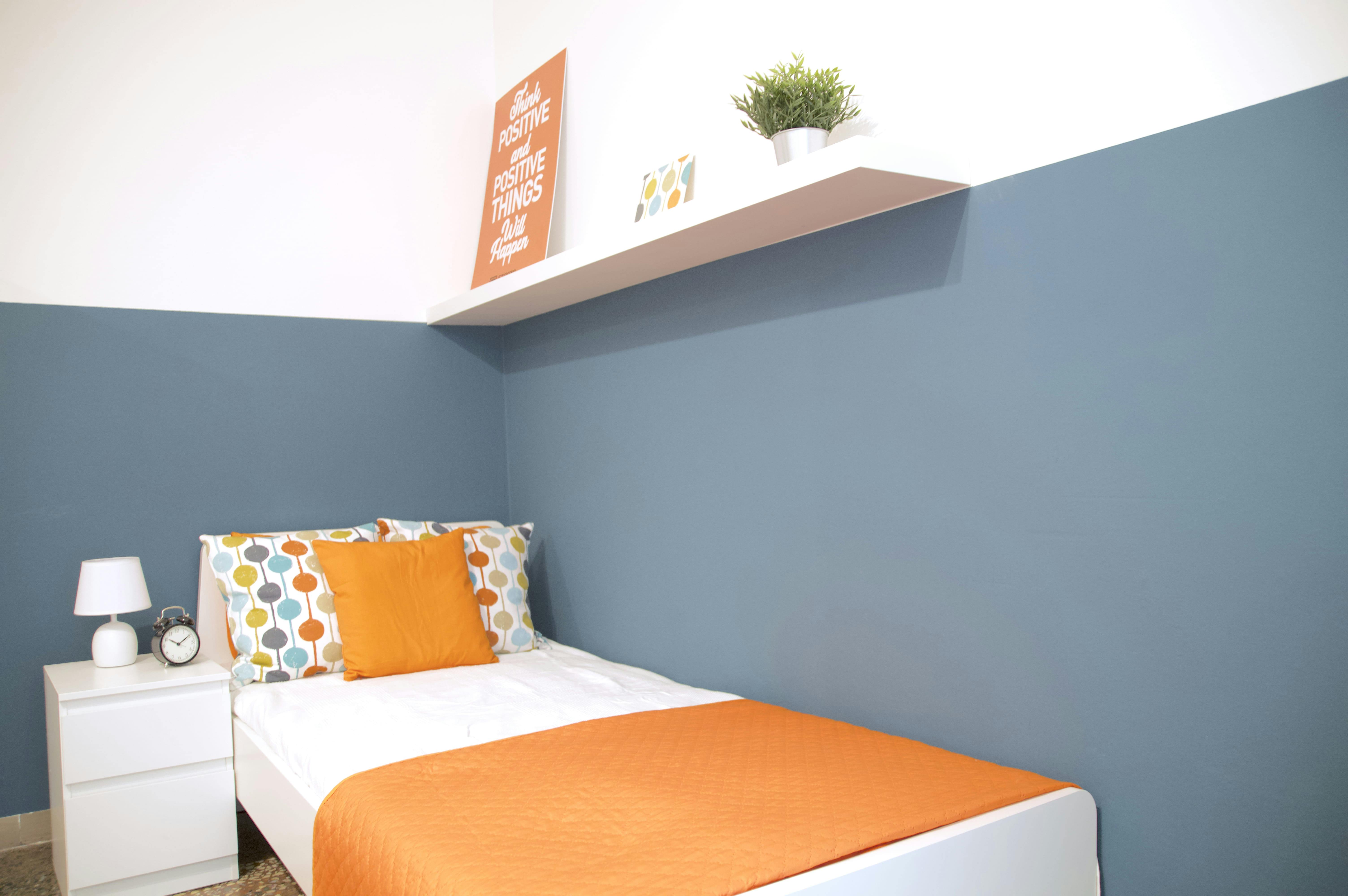 Strada Maggiore, Bologna preview