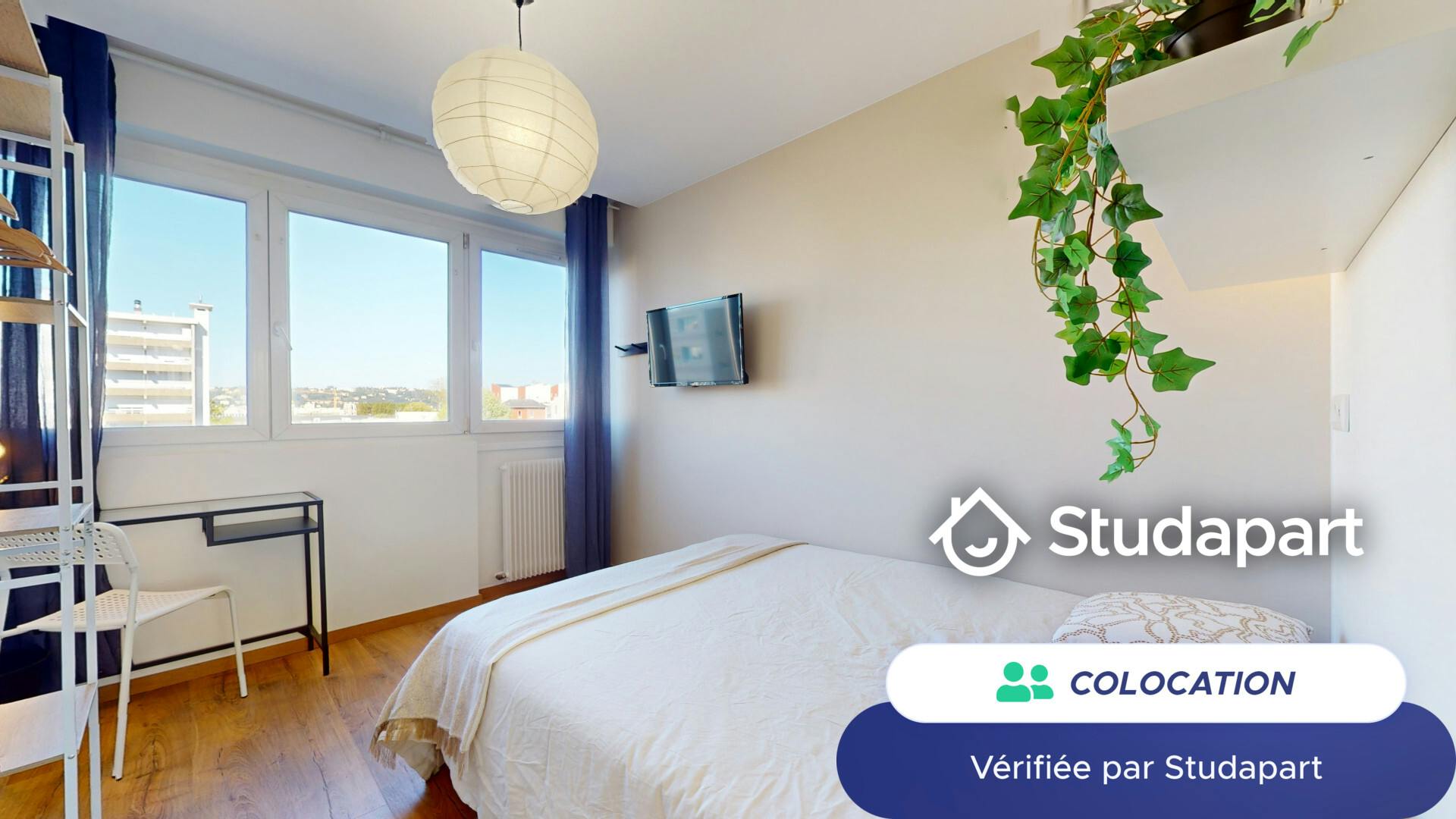 Private room for rent on Route de Vienne, Lyon - Plus