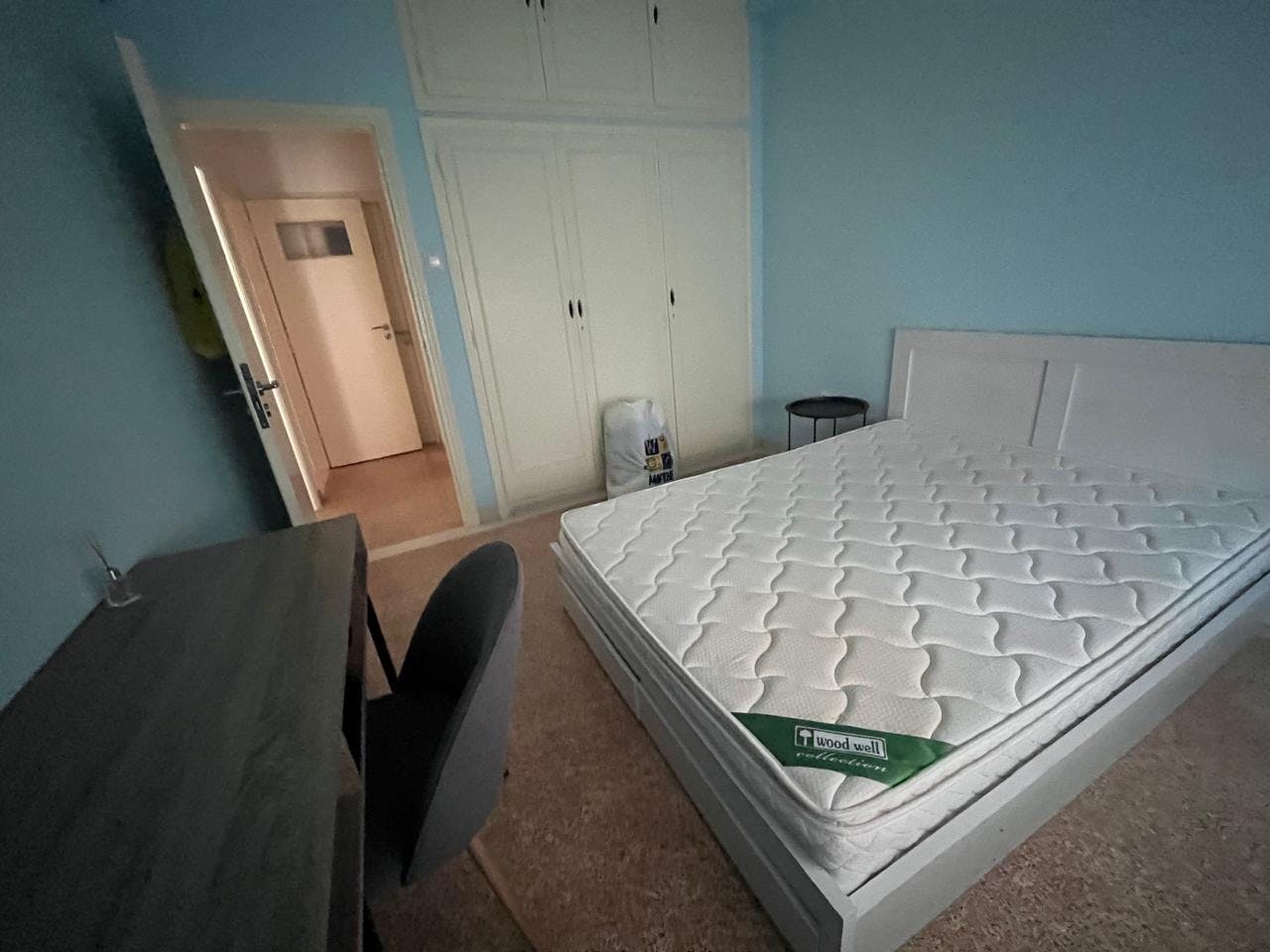 Private room for rent for €350 per month in Athens, Magnisias