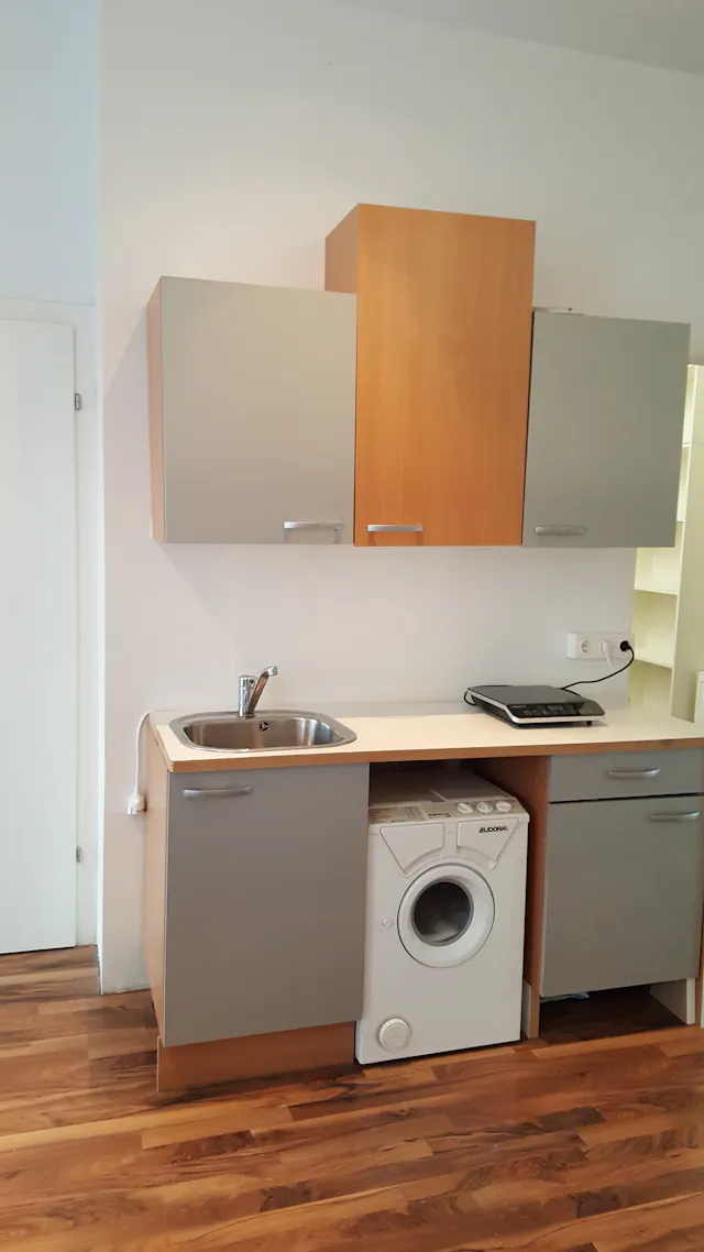 3-Bedroom Apartment in Hegergasse, Vienna (1538984) room image 2