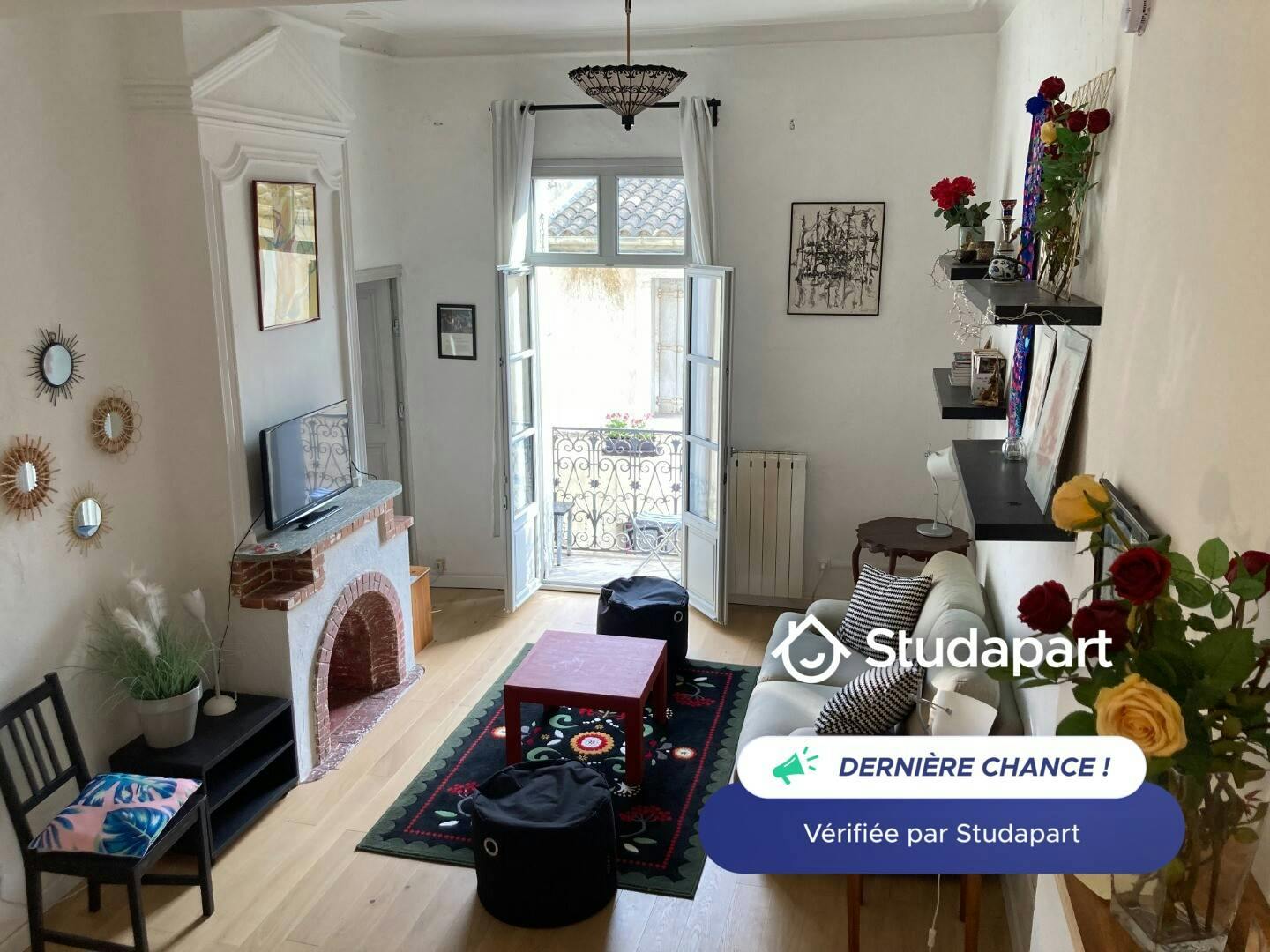 Apartment for rent on Rue Joseph Vidal, Montpellier