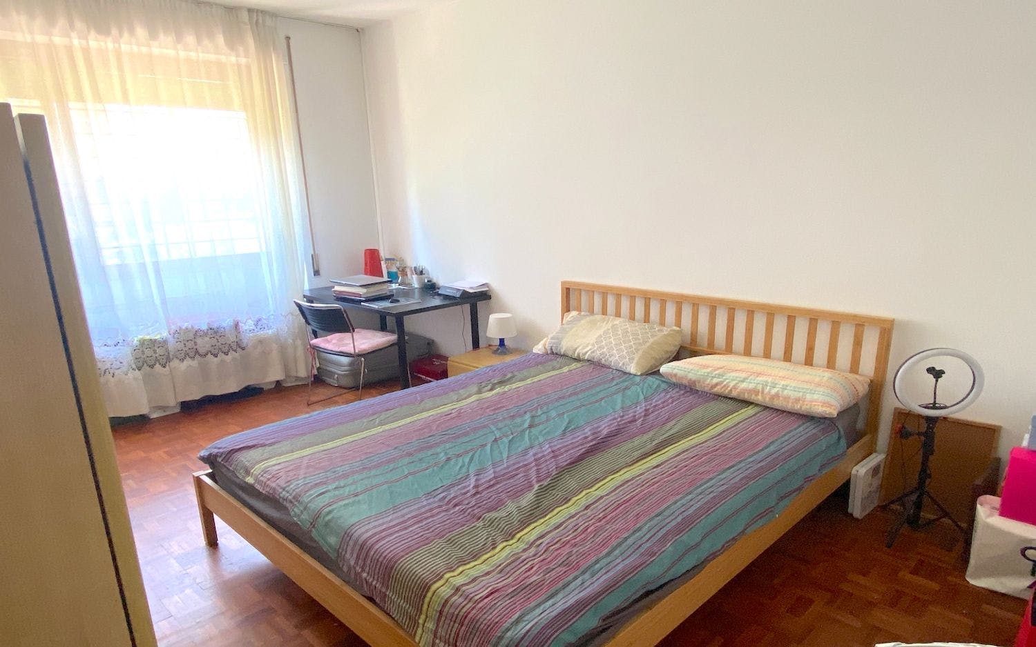 Single room Rome, 1 bed, 16m² — photo 8