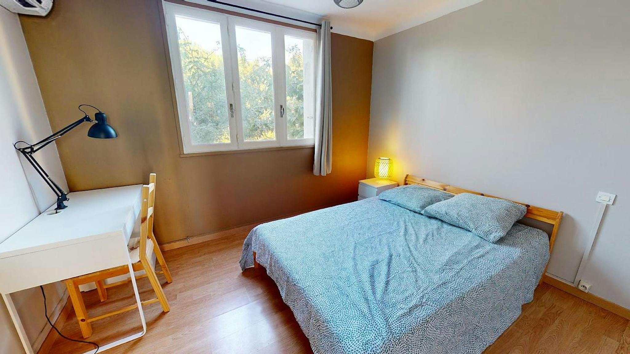 Rue Jean Vachet, Montpellier preview