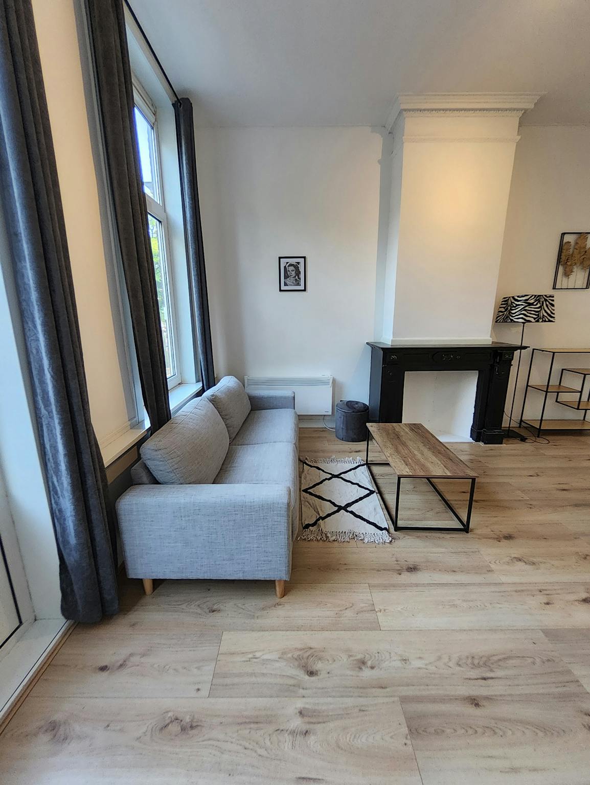 Regentesselaan, The Hague preview