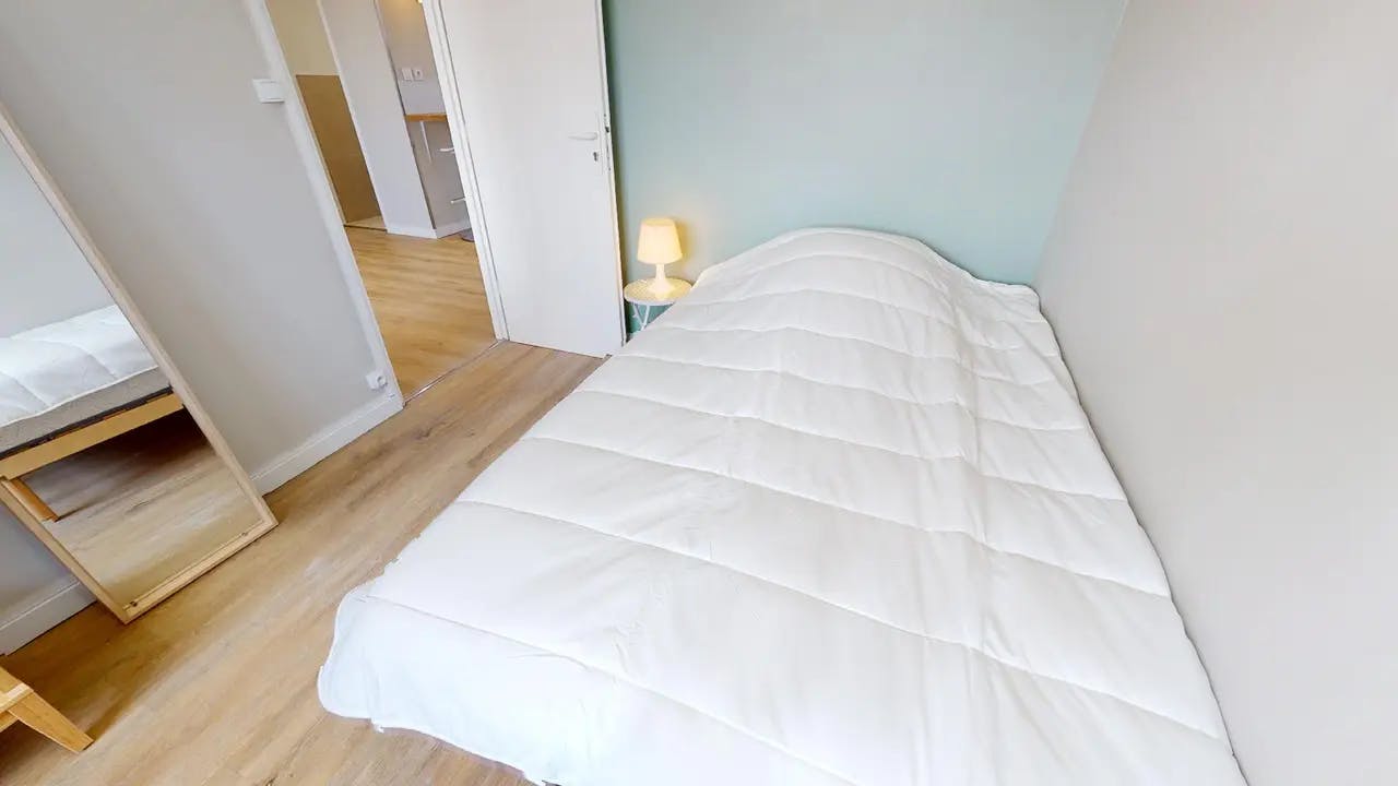Private room in Avenue Commandant L'Herminier, Villeurbanne (1539840) room image 2
