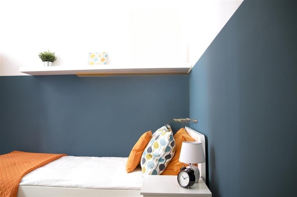 Strada Maggiore, Bologna preview