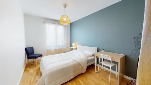 Private room for rent on Rue du Presbytère, Lyon, Lyon