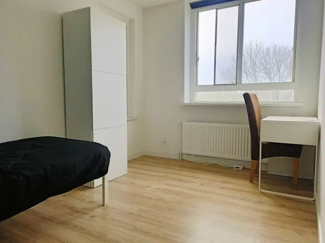 Private room in Den Uylsingel, Rotterdam (1540482) room image 1