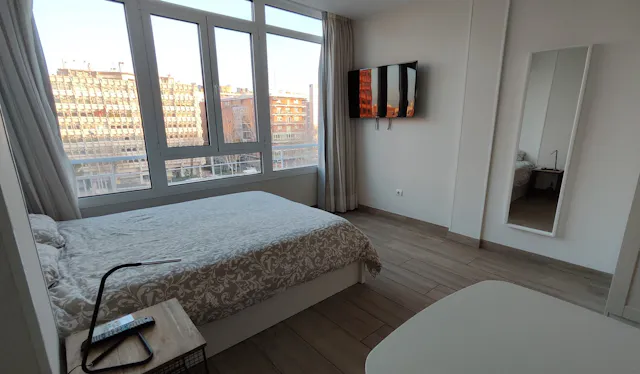 Apartment in Paseo de la Castellana, Madrid (1540852) room image 2