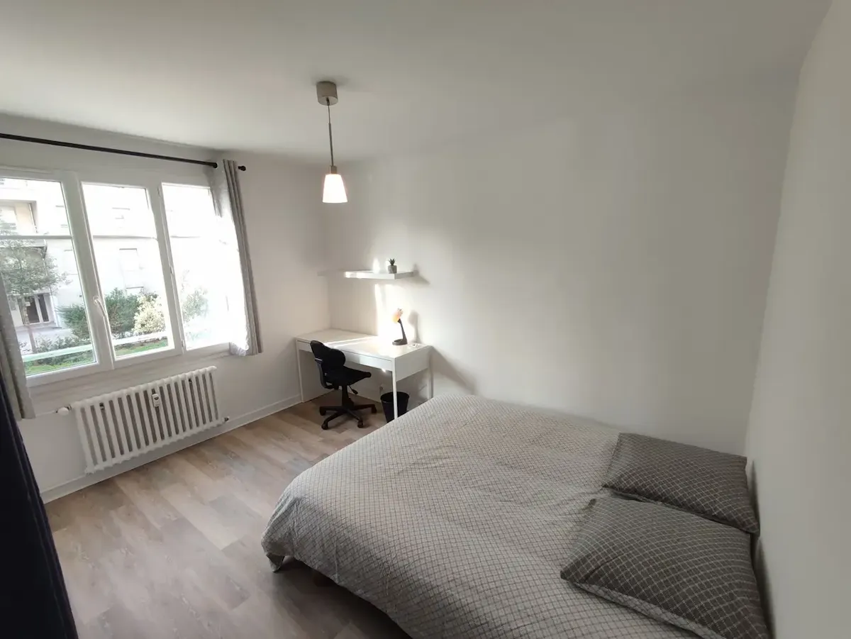 Private room in Cours Émile Zola, Villeurbanne (1540856) ROOM
