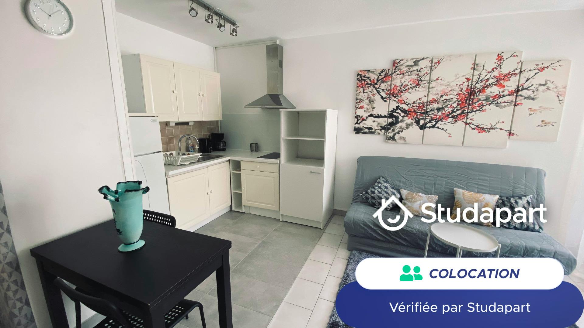 Privat rum att hyra för 565 € i månaden i Cannes, Rue Paul Négrin