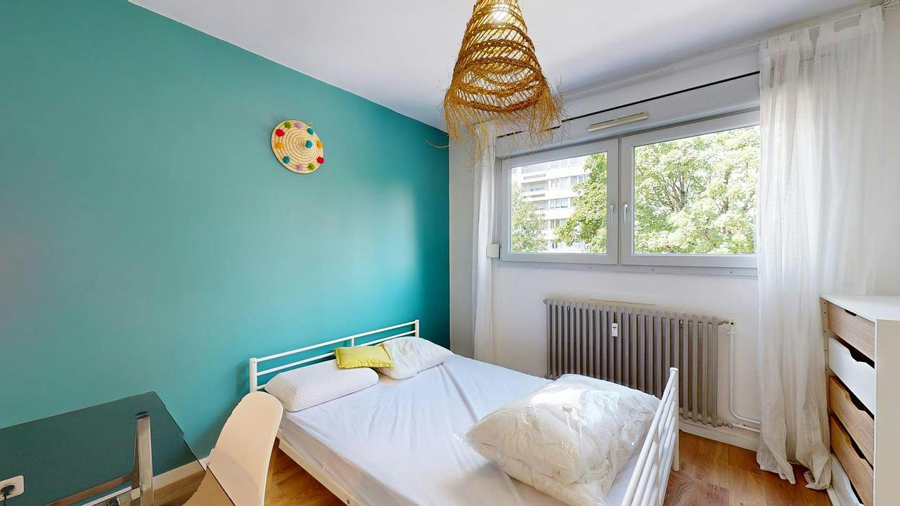 Private room for rent on Avenue Debourg, Lyon - Vue 4