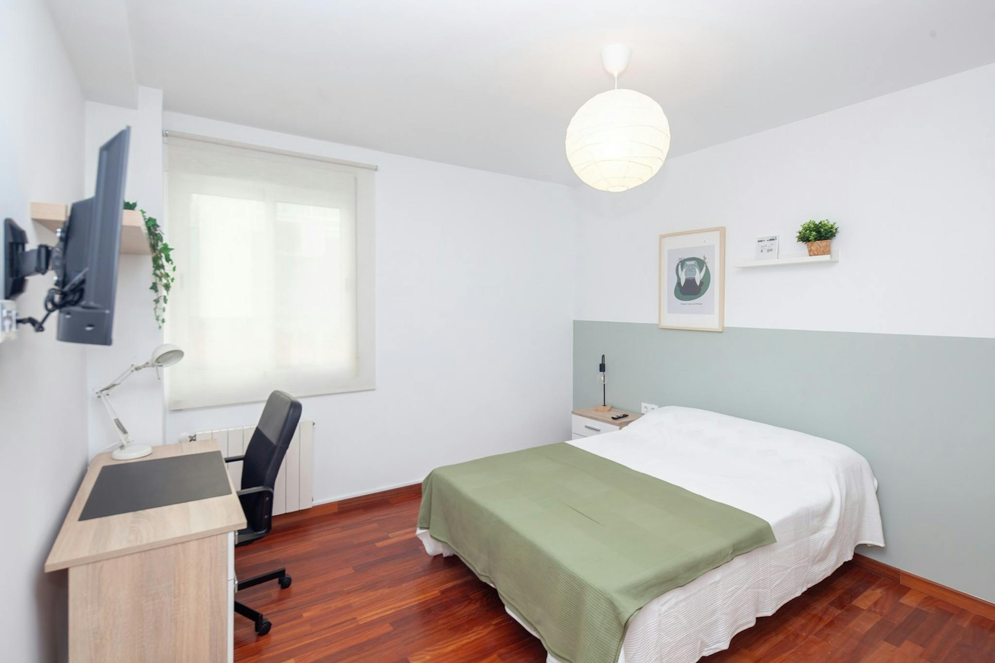 Carrer Dr. Lluch, Valencia preview