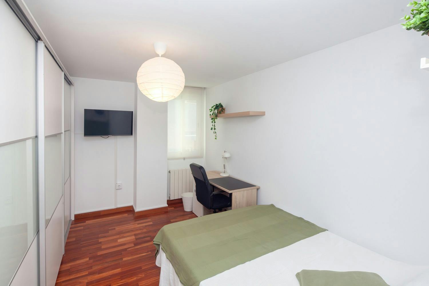 Carrer Dr. Lluch, Valencia Valencia