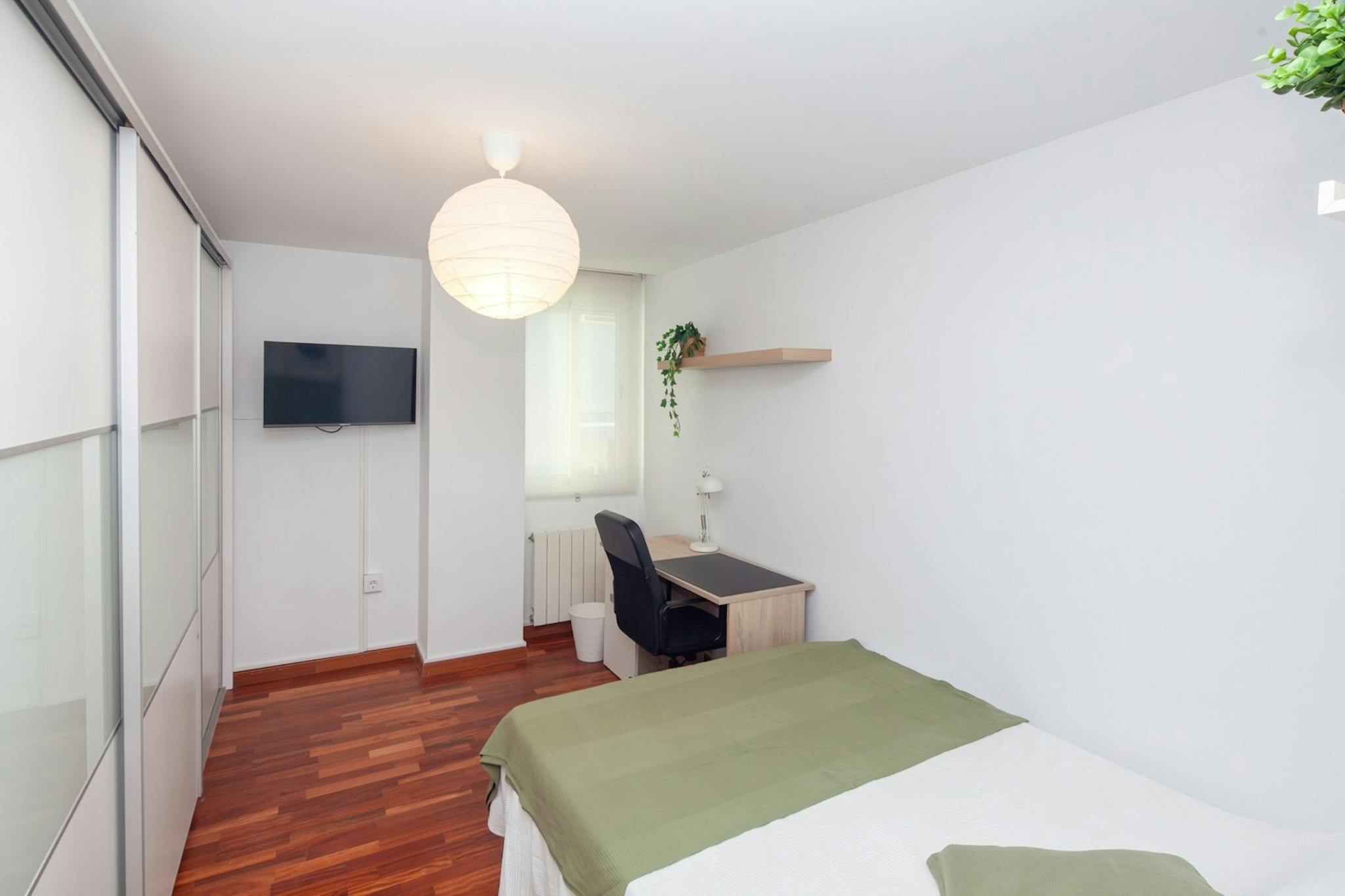 Carrer Dr. Lluch, Valencia preview