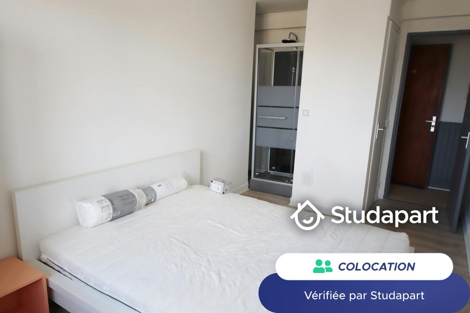 Private room for rent on Rue Alfred de Musset, Toulouse - Plus