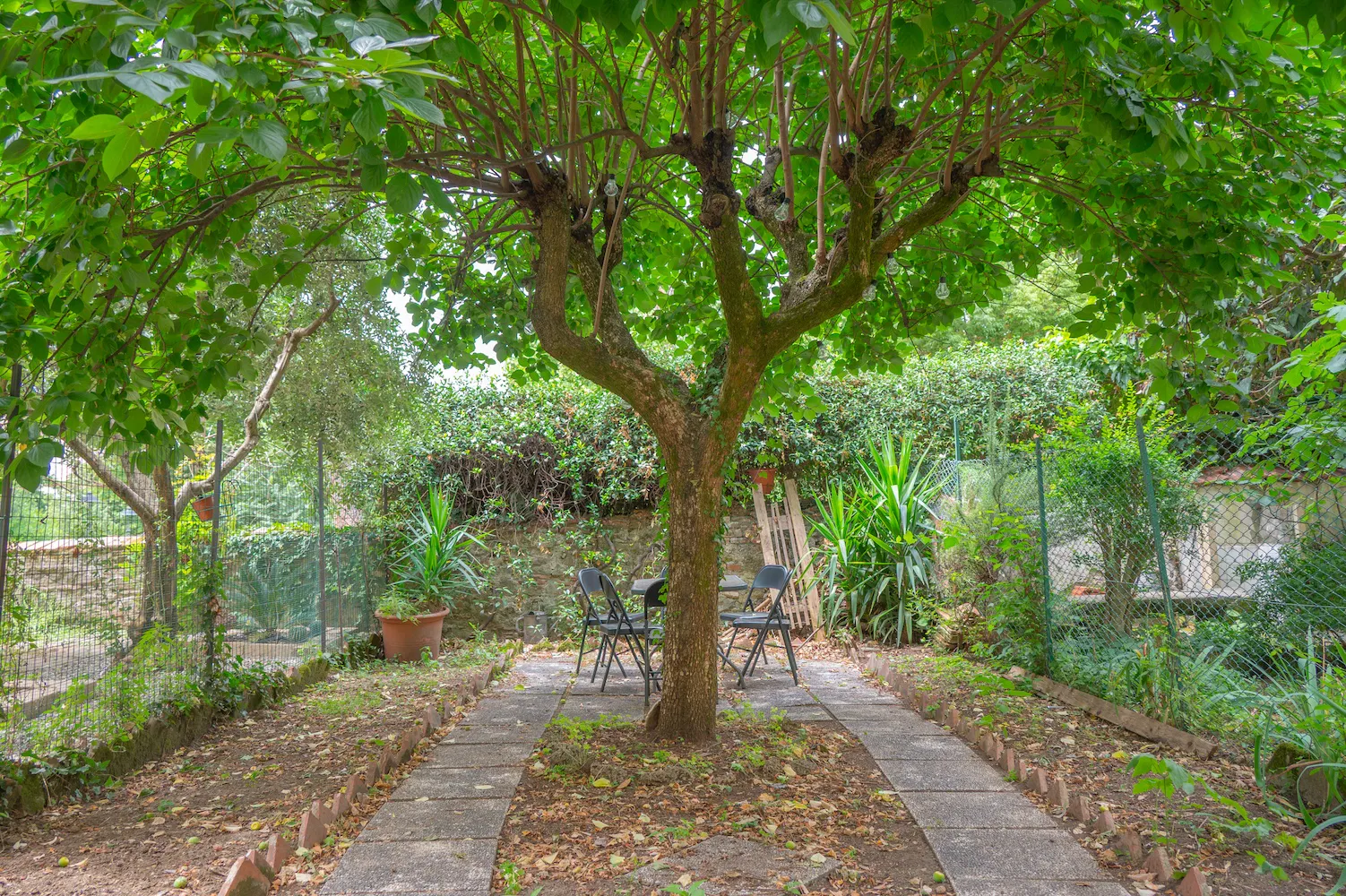 2-Bedroom Apartment in Via Bolognese, Florence (1544037) ROOM 1