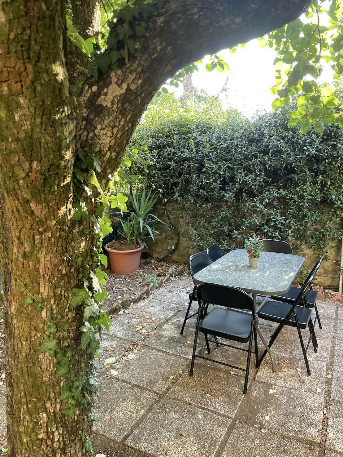 Via Bolognese, Florence preview