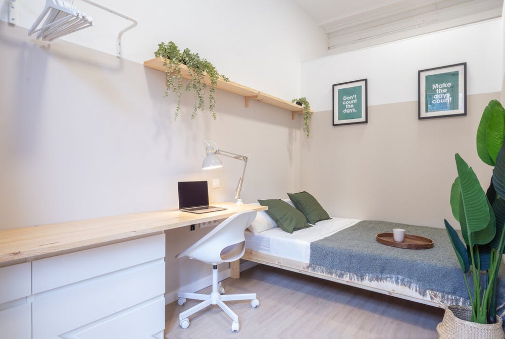 Carrer de Pelai, Barcelona preview