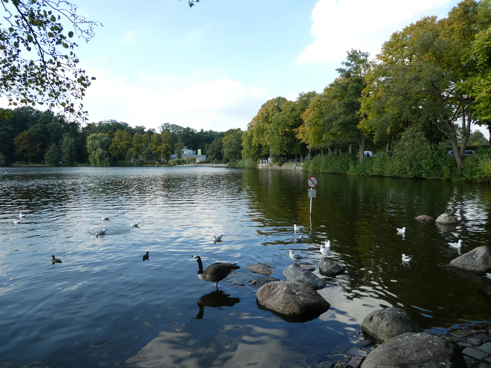 Vinzenzweg, Hamburg preview