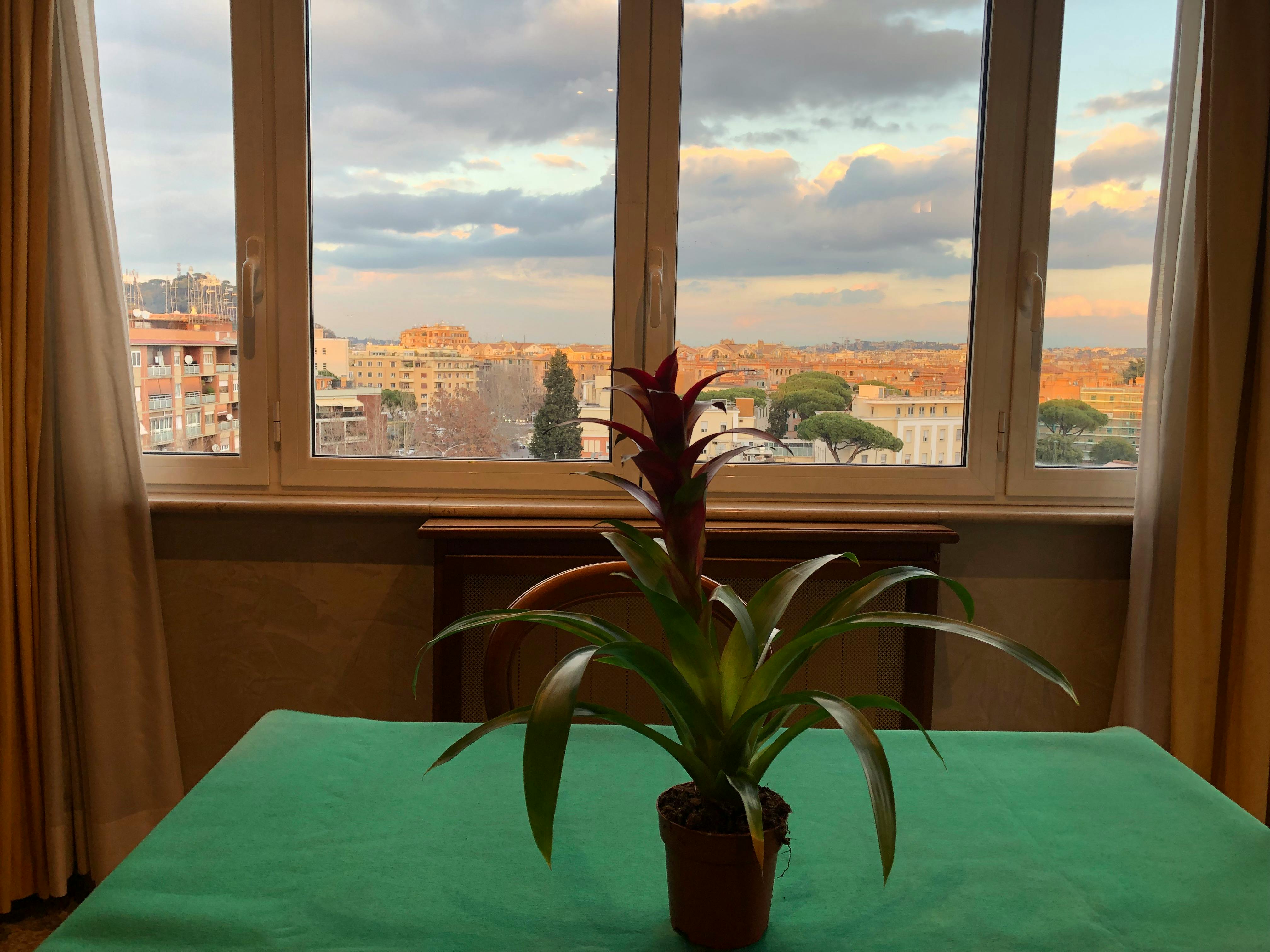 Single room Rome, 1 bed, 25m² — photo 3