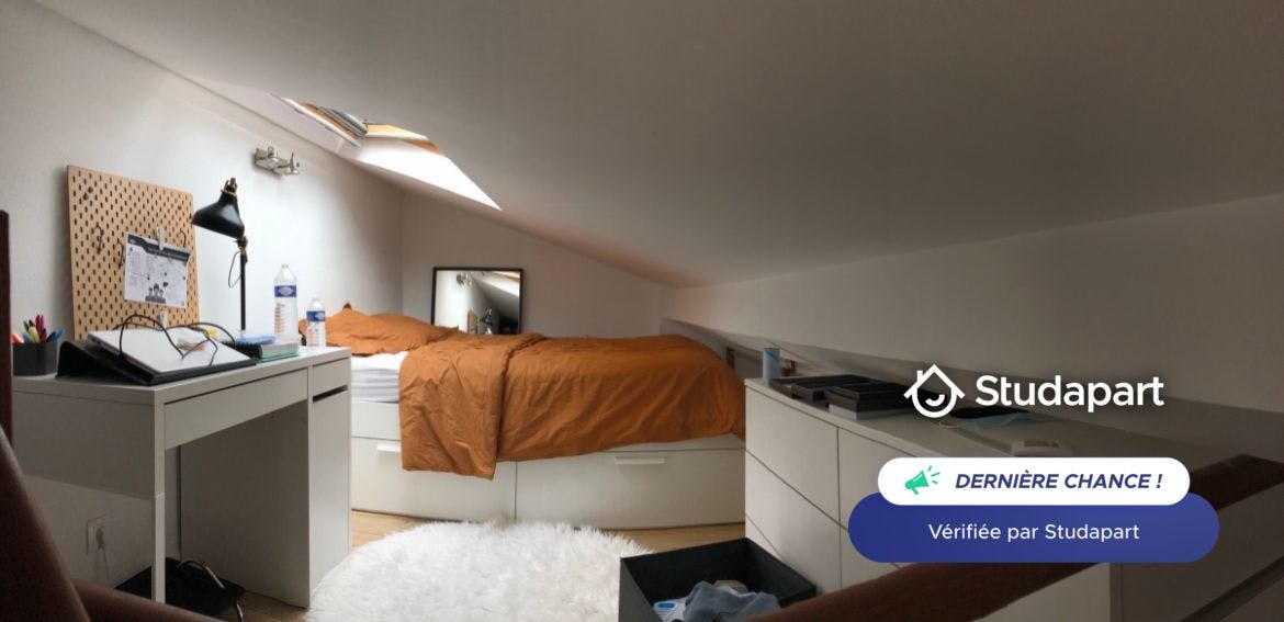Apartment for rent on Boulevard Montebello, Lille